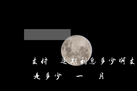 支付寶逾期利息多少啊 支付寶如果逾期,利息是多少錢一個月