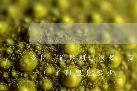 支付寶逾期利息很多嗎(支付寶欠6萬多,逾期一年了,利息是多少?)