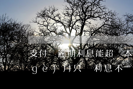 支付寶逾期利息能超過本金嗎(支付寶每個(gè)月只還利息,不還本金,賬戶會(huì)逾期嗎)