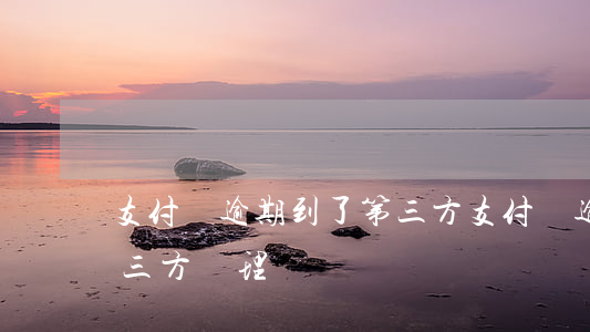 支付寶逾期到了第三方(支付寶逾期多久交第三方處理)