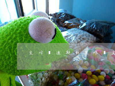 支付寶逾期到底咋辦(支付寶一直逾期會怎樣)