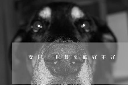 支付寶逾期到底好不好
