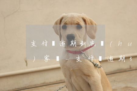 支付寶逾期到底會(huì)不會(huì)家訪-支付寶逾期3000他們說(shuō)下午來(lái)家訪會(huì)是真的嗎