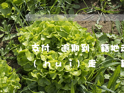 支付寶逾期到戶籍地走訪(支付寶逾期半年會(huì)走訪戶籍地嗎)