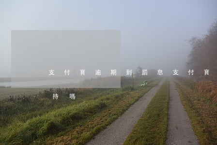 支付寶逾期到罰息 支付寶欠逾期罰息法院支持嗎