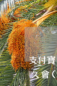 支付寶逾期到被起訴間隔多久(支付寶逾期多久會(huì)被起訴會(huì)有什么后果逾期8萬)