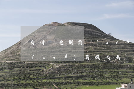 支付寶逾期前協(xié)商(支付寶逾期協(xié)商提交失敗)