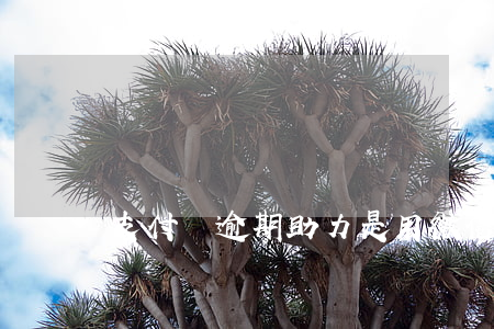 支付寶逾期助力是用微信掃碼嗎-