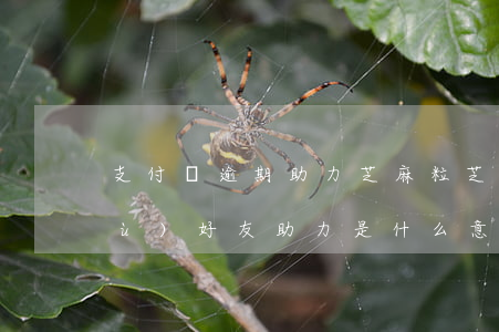 支付寶逾期助力芝麻粒 芝麻粒逾期修復(fù)好友助力是什么意思