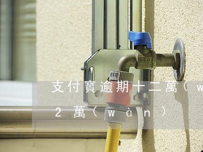 支付寶逾期十二萬(wàn)(支付寶逾期12萬(wàn))
