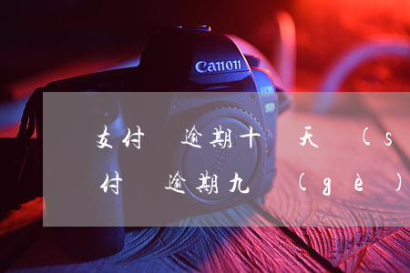 支付寶逾期十幾天說(shuō)要上門（支付寶逾期九個(gè)月要上門）