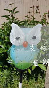 支付寶逾期十幾萬(wàn)半年了（支付寶逾期好多年了）