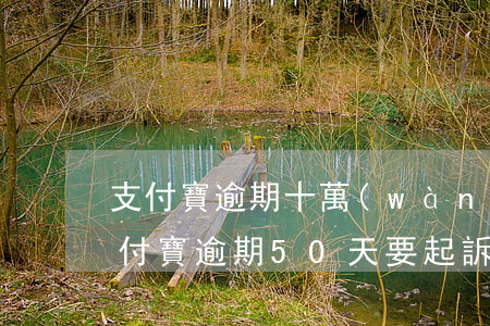 支付寶逾期十萬(wàn)多久被起訴-支付寶逾期50天要起訴
