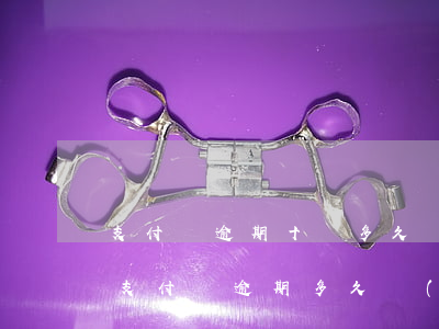 支付寶逾期十萬多久會(huì)被起訴-支付寶逾期多久會(huì)被起訴會(huì)有什么后果逾期8萬