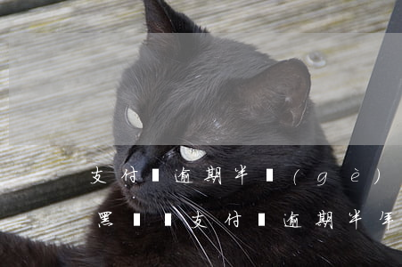 支付寶逾期半個(gè)月會(huì)成黑戶嗎(支付寶逾期半年會(huì)上黑名單嗎)