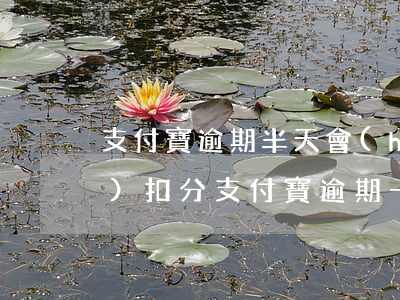 支付寶逾期半天會(huì)不會(huì)扣分(支付寶逾期一個(gè)星期會(huì)怎么樣)