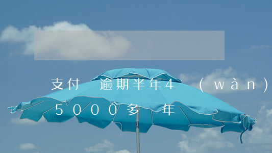 支付寶逾期半年4萬(wàn)(支付寶逾期5000多兩年)