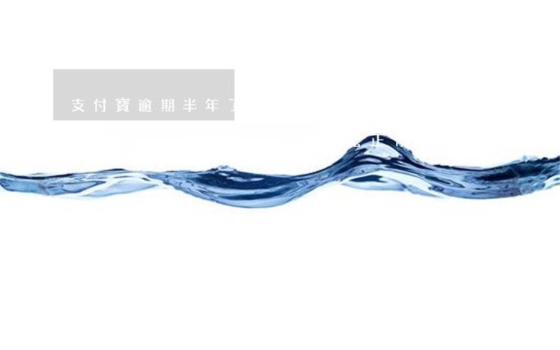 支付寶逾期半年了還沒(méi)還完(支付寶逾期半年還完了好久才能正常使用)