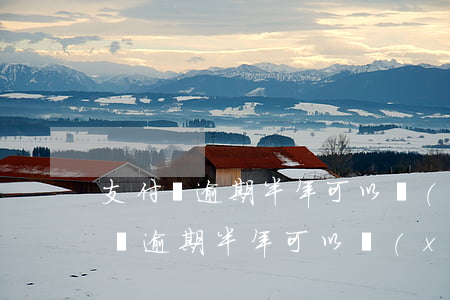 支付寶逾期半年可以協(xié)商嗎(支付寶逾期半年可以協(xié)商嗎)