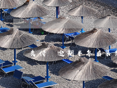 支付寶逾期半年后果(支付寶逾期一年半)