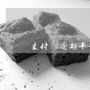 支付寶逾期半年后還清怎么把分-