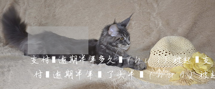 支付寶逾期半年多久會(huì)被起訴 支付寶逾期半年還了大半會(huì)被起訴嗎?