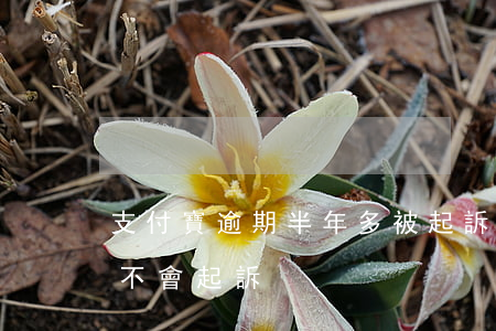 支付寶逾期半年多被起訴(支付寶逾期半年會不會起訴)