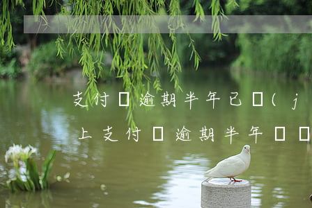 支付寶逾期半年,已經(jīng)將逾期還上（支付寶逾期半年沒漲分了）