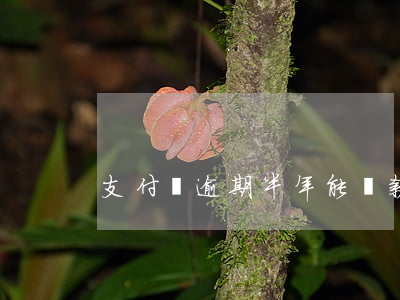 支付寶逾期半年能貸款買房嗎