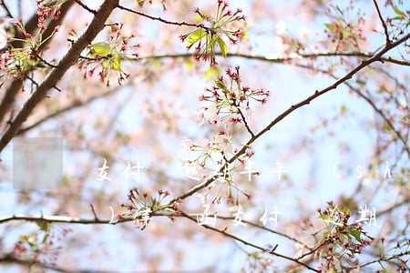 支付寶逾期半年說(shuō)要發(fā)律師函(支付寶逾期會(huì)有律師函嗎)