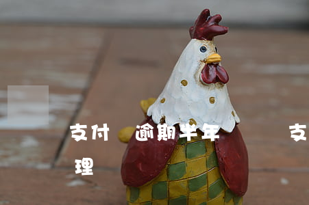 支付寶逾期半年貸車貸(支付寶逾期還可以辦理車貸嗎)