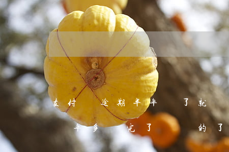 支付寶逾期半年還了就沒事了嗎(支付寶逾期兩年多還完了,還開的了不)