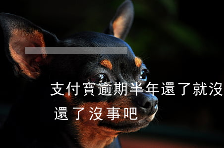 支付寶逾期半年還了就沒事了嗎（支付寶逾期還了沒事吧）