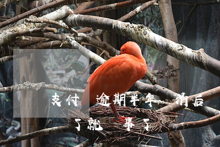 支付寶逾期半年還清后還能(支付寶逾期半年還了就沒事了嗎)
