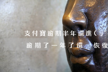 支付寶逾期半年還進(jìn)去了(支付寶逾期了一年了還沒恢復(fù))