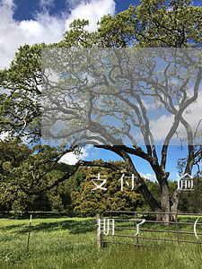 支付寶逾期協(xié)商不同意 支付寶逾期了協(xié)商還款