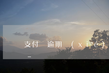 支付寶逾期協(xié)商其他憑證是什么-