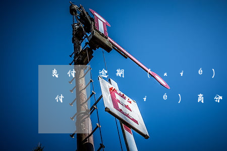 支付寶逾期協(xié)商分期成功案例(支付寶協(xié)商分期被拒)