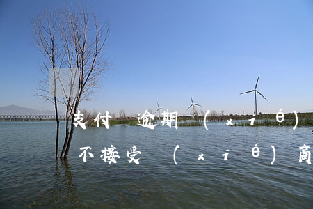支付寶逾期協(xié)商延遲(支付寶逾期不接受協(xié)商)