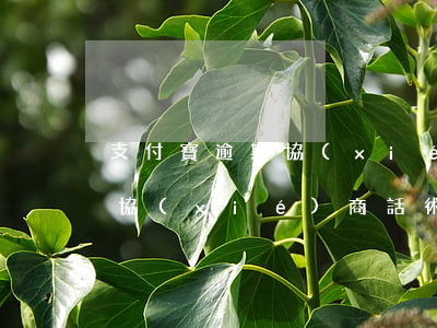 支付寶逾期協(xié)商技巧(支付寶逾期協(xié)商話術(shù))