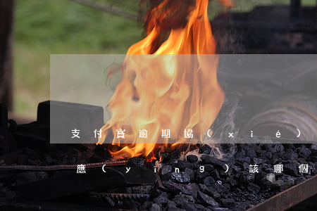 支付寶逾期協(xié)商描述(支付寶逾期應(yīng)該哪個(gè)部門(mén)協(xié)商)