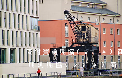 支付寶逾期協(xié)商新政策（支付寶逾期延期協(xié)商）