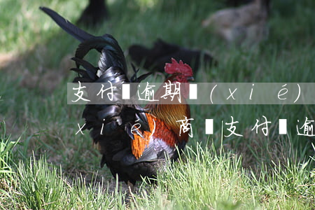 支付寶逾期協(xié)商是跟第三方協(xié)商嗎 支付寶逾期好協(xié)商嗎
