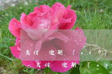 支付寶逾期協(xié)商減免的申請材料-支付寶逾期協(xié)商減免的申請材料是什么