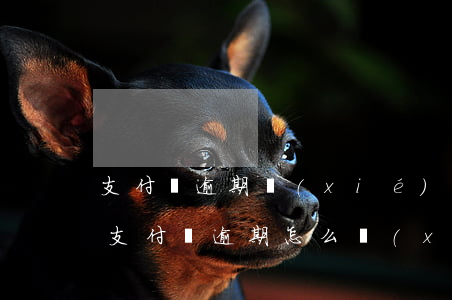 支付寶逾期協(xié)商減免罰息教程-支付寶逾期怎么協(xié)商減免罰息