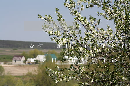 支付寶逾期協(xié)商調(diào)解(支付寶逾期能不能協(xié)商處理?)