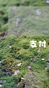 支付寶逾期協(xié)商還款不同意怎么辦-支付寶逾期協(xié)商還款不同意怎么辦呢
