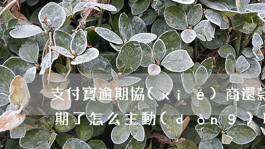 支付寶逾期協(xié)商還款嗎(支付寶逾期了怎么主動(dòng)聯(lián)系支付寶協(xié)商)