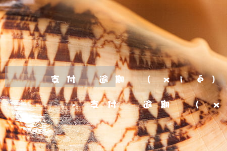 支付寶逾期協(xié)商還款失敗可以通過-支付寶逾期協(xié)商還款不同意