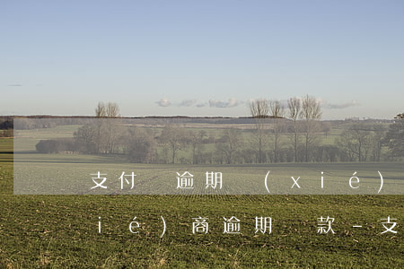 支付寶逾期協(xié)商還款怎么協(xié)商逾期還款-支付寶逾期協(xié)商還款怎么協(xié)商逾期還款的